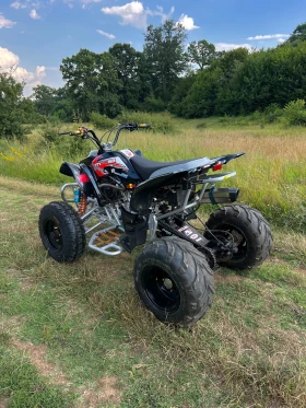 Egl Lyda 250cc, снимка 3