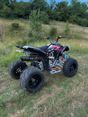 Egl Lyda 250cc, снимка 5