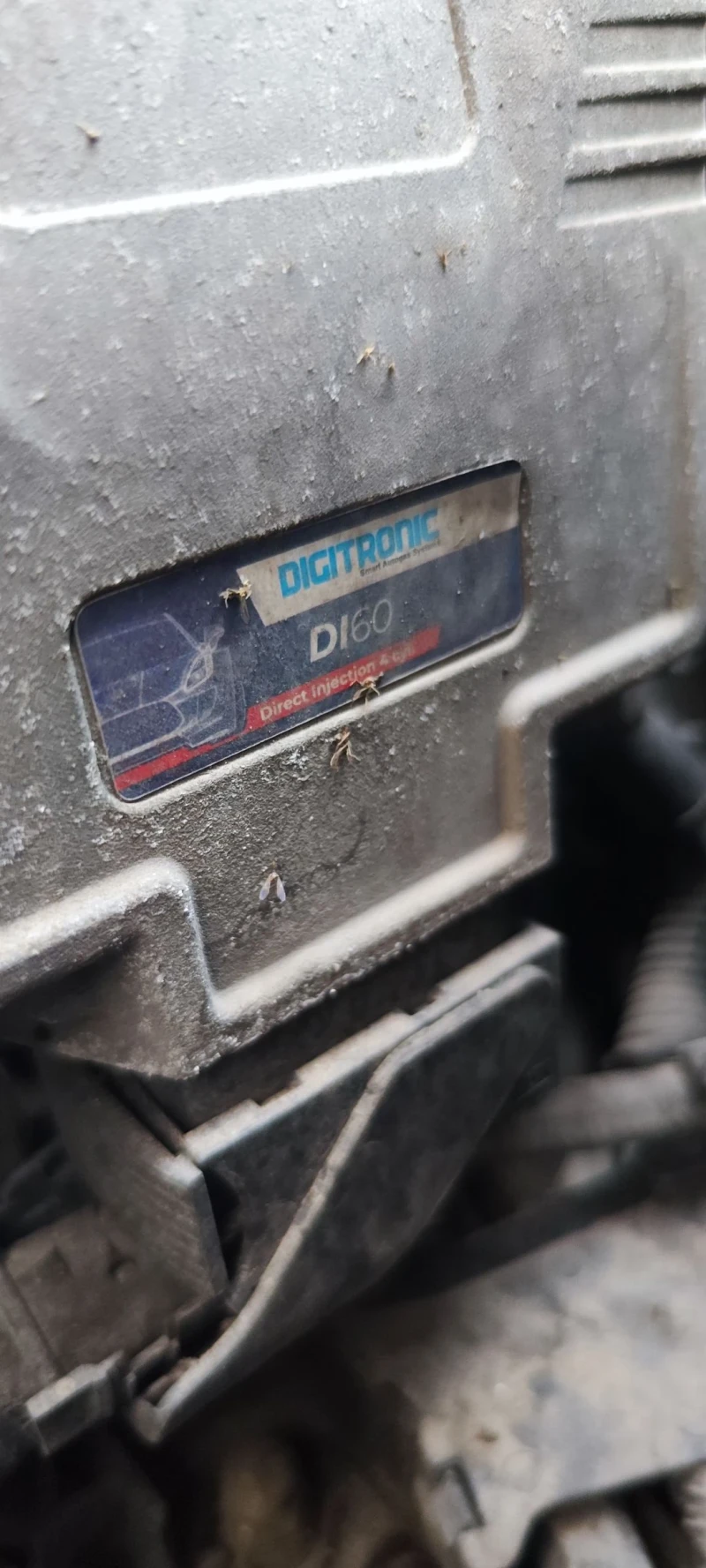 VW Golf Plus 1.6fsi, снимка 11 - Автомобили и джипове - 52496219