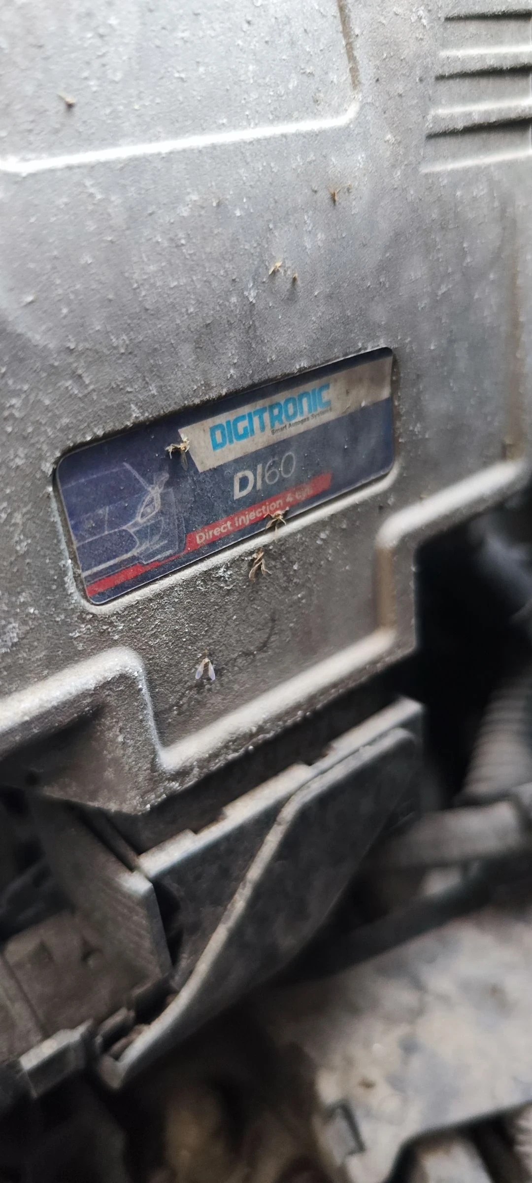 VW Golf Plus 1.6fsi | Mobile.bg   11