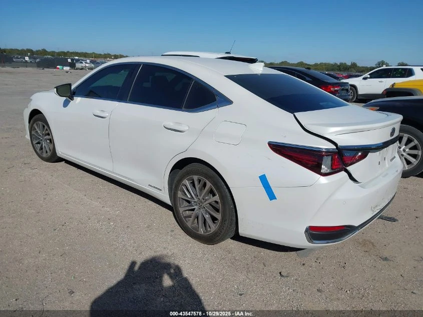 Lexus ES 300H - изображение 3