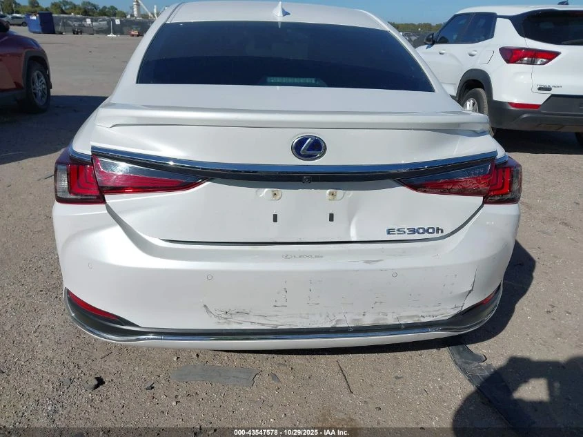 Lexus ES 300H - изображение 6