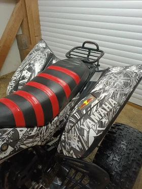 Yamaha Raptor 350 , снимка 17