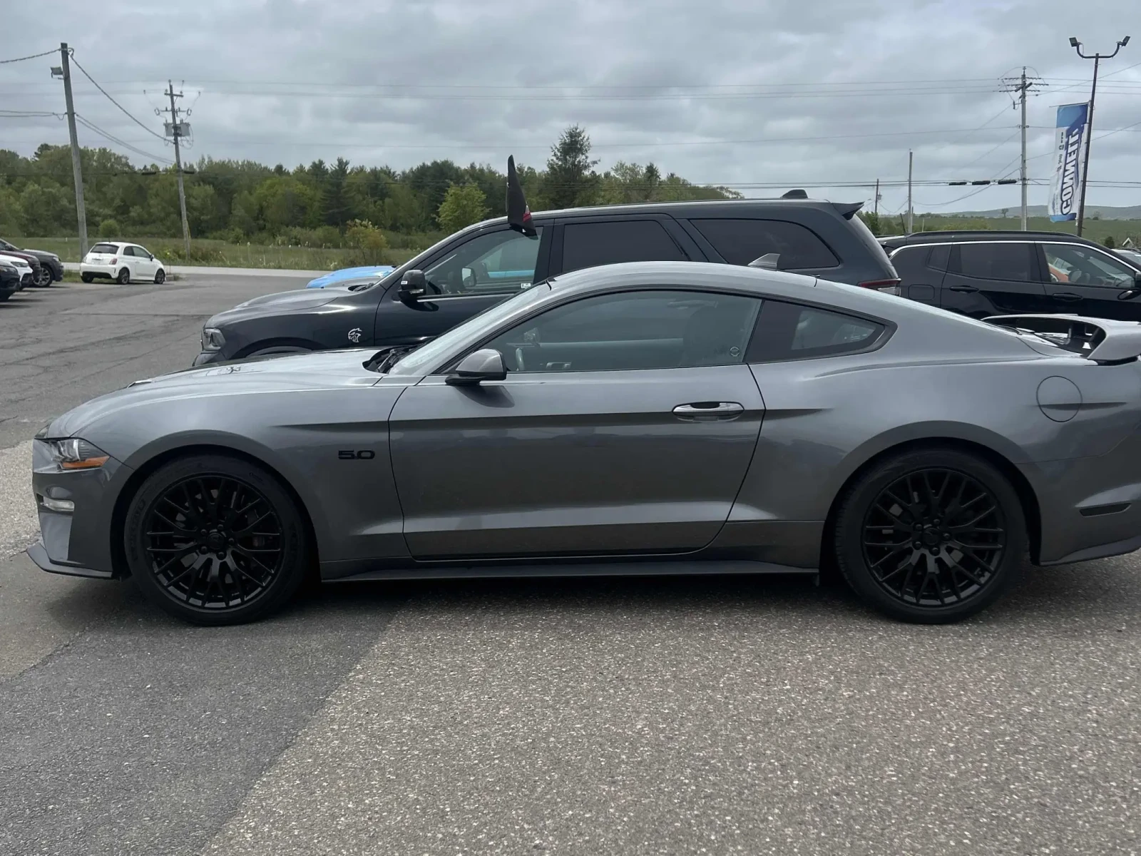Ford Mustang GT * 5.0L V8 * CARFAX * ���� ������ *  | Mobile.bg � ����������� 3