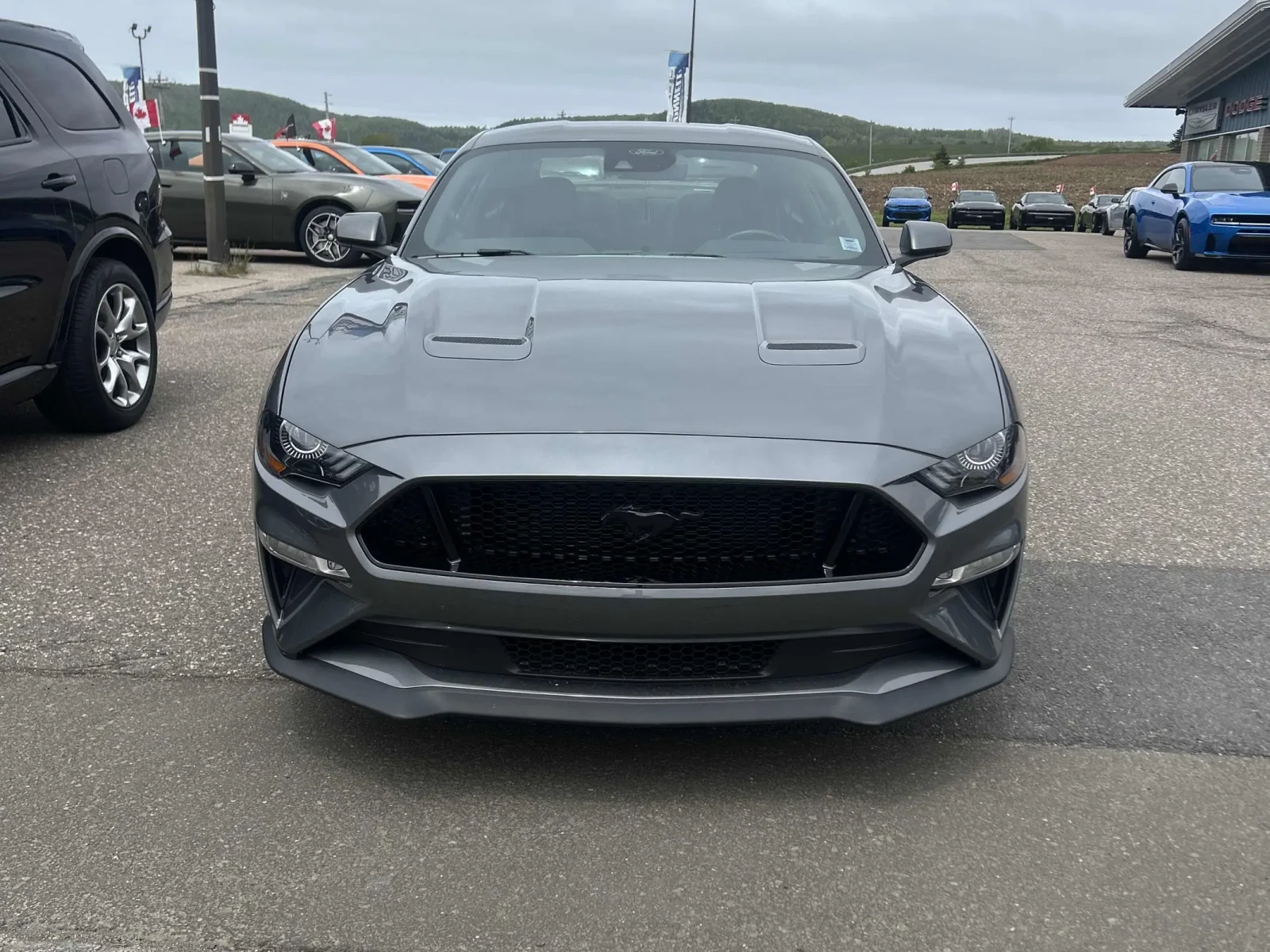 Ford Mustang GT * 5.0L V8 * CARFAX * ���� ������ *  | Mobile.bg � ����������� 2