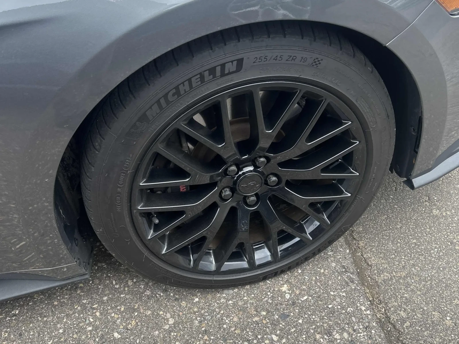 Ford Mustang GT * 5.0L V8 * CARFAX * ���� ������ *  | Mobile.bg � ����������� 6