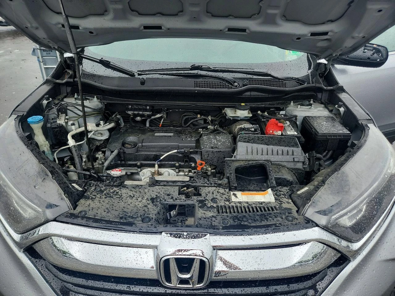 Honda Cr-v 2.4l Lx | Mobile.bg � ����������� 12
