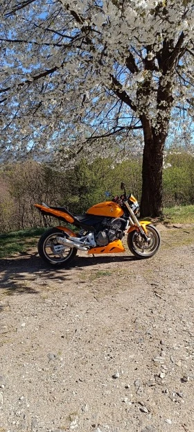 Honda Hornet, снимка 13