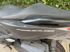 Обява за продажба на Honda Forza 350 2024 ~4 100 лв. - изображение 1
