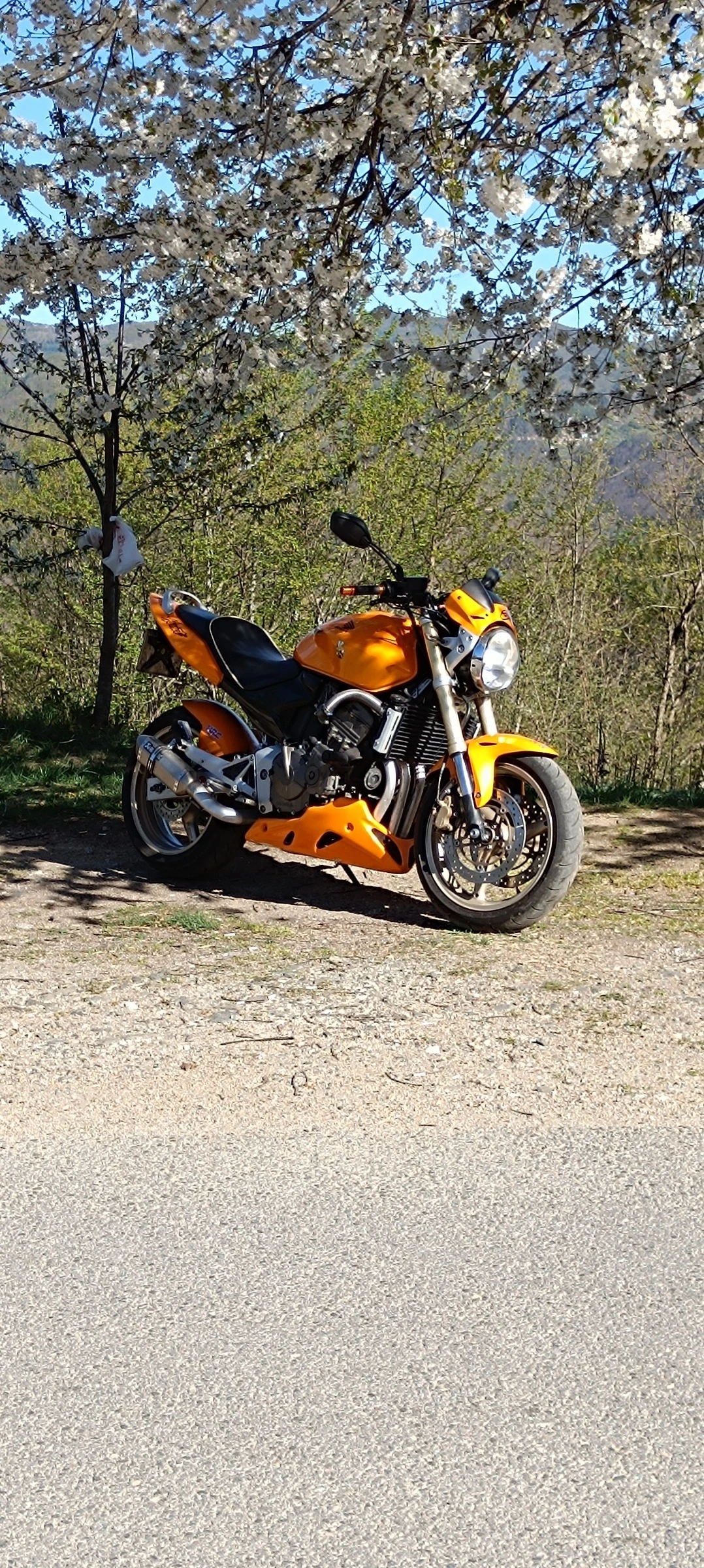 Honda Hornet | Mobile.bg   14