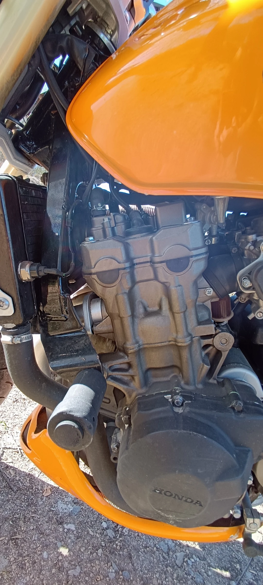 Honda Hornet | Mobile.bg   12