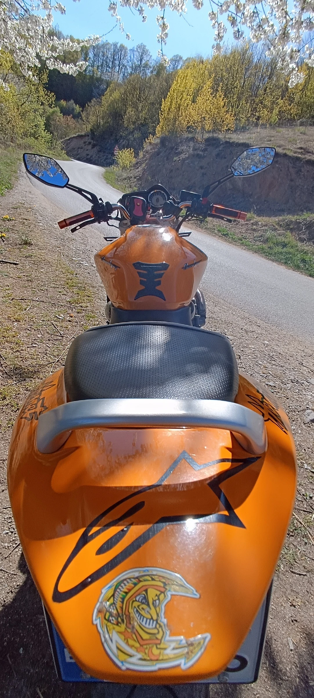 Honda Hornet | Mobile.bg   16