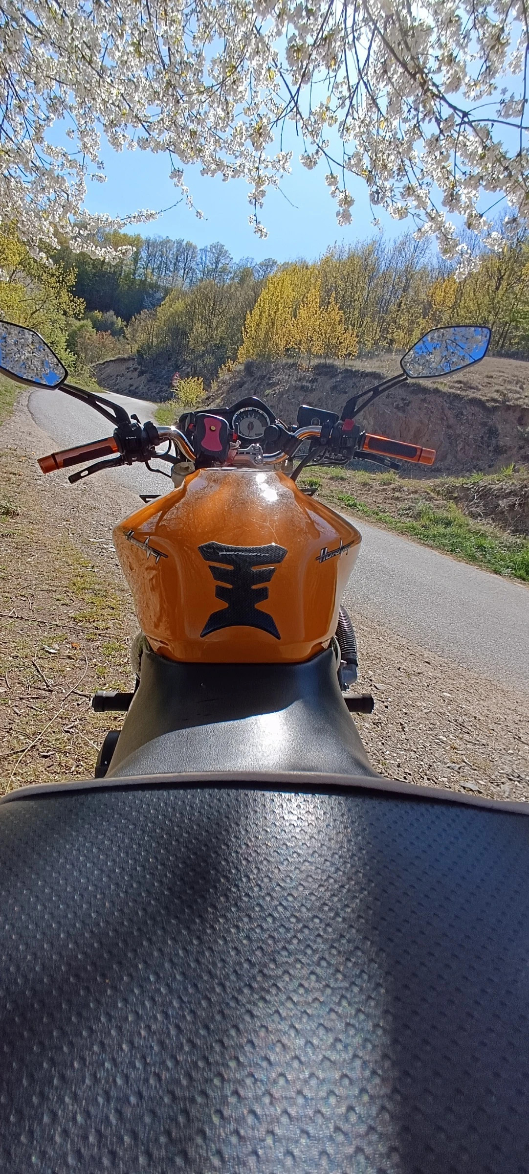 Honda Hornet | Mobile.bg   15