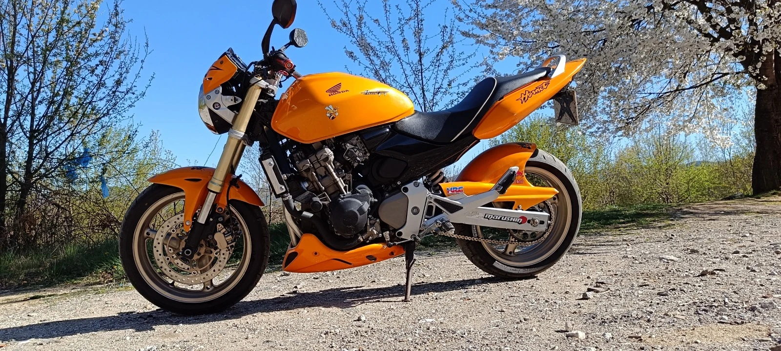 Honda Hornet  - изображение 3