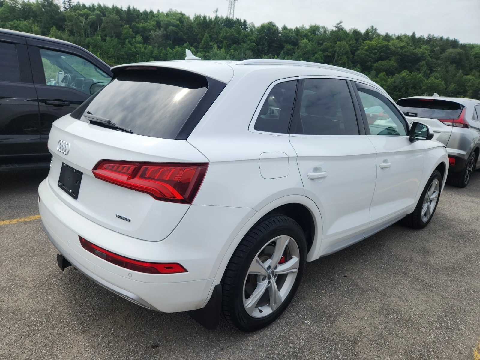 Audi Q5 * PROGRESSIV * CARFAX * АВТОКРЕДИТ - изображение 3