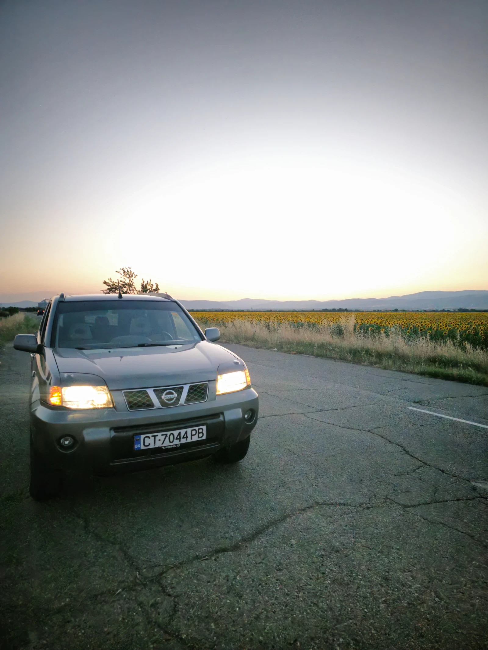 Nissan X-trail T30, снимка 5 - Автомобили и джипове - 55252295