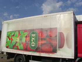     Daf 55  
