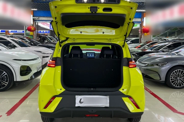 BYD Seagull Vitality Edition autogeorge.com - изображение 9