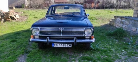     Volga 24