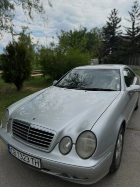  Mercedes-Benz CLK