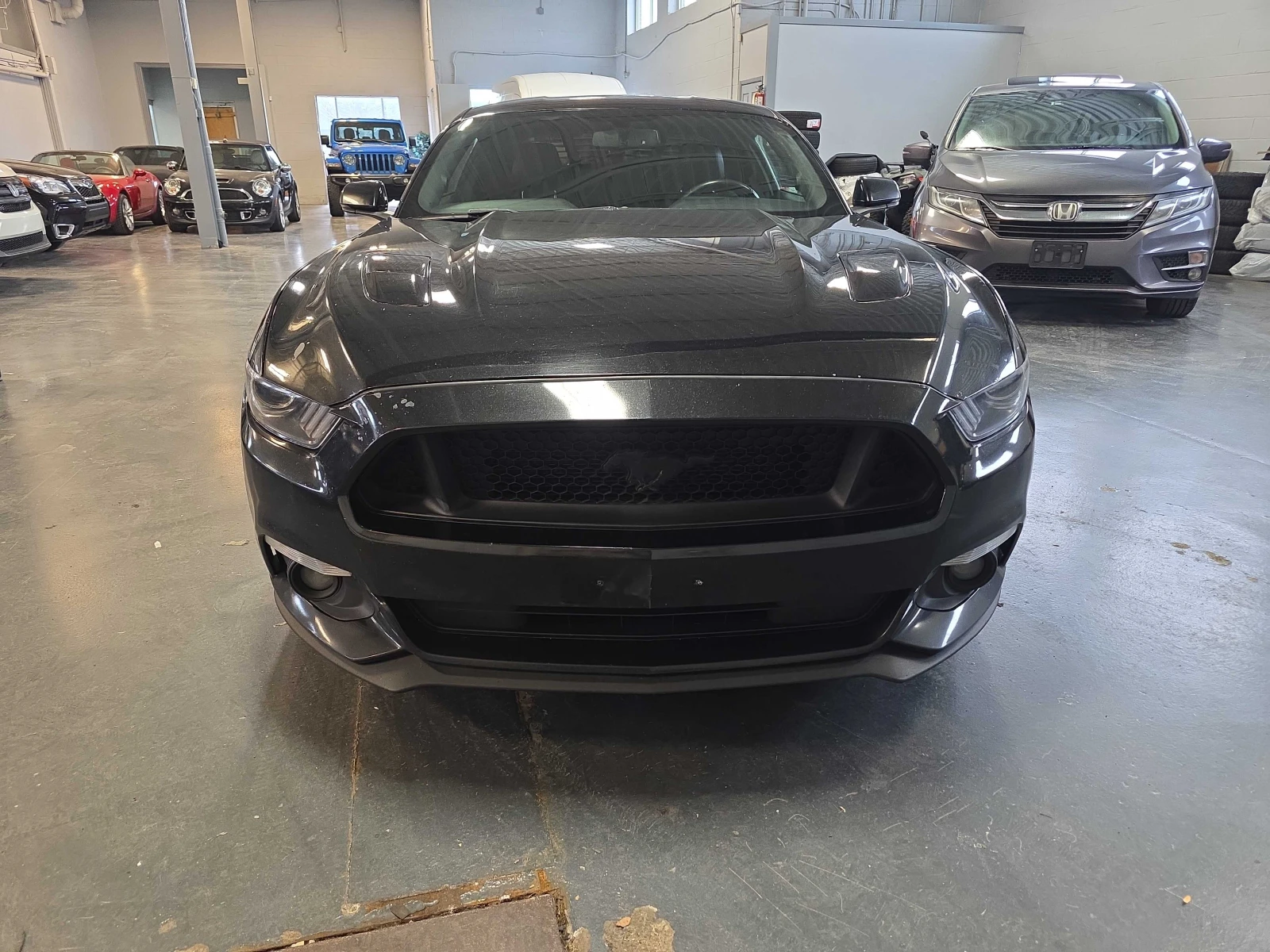 Ford Mustang * gt* CARFAX *    | Mobile.bg   2