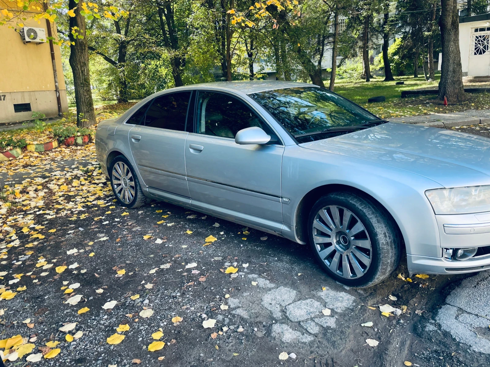 Audi A8  - изображение 3