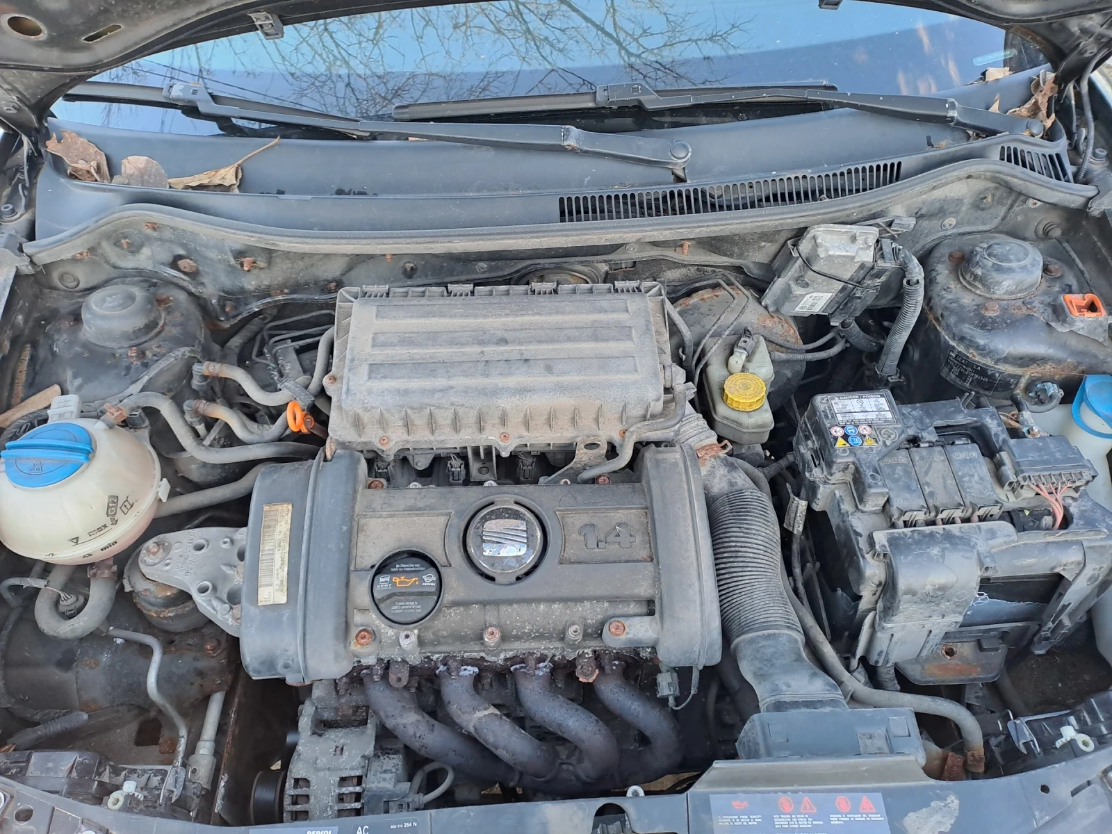 Seat Ibiza 1.4 klima | Mobile.bg � ����������� 10