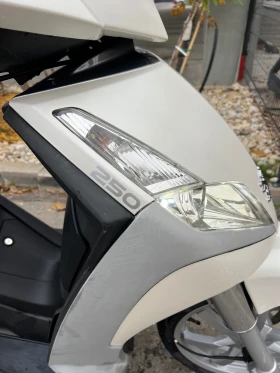 Peugeot Geopolis Piaggio 250 cc, снимка 6