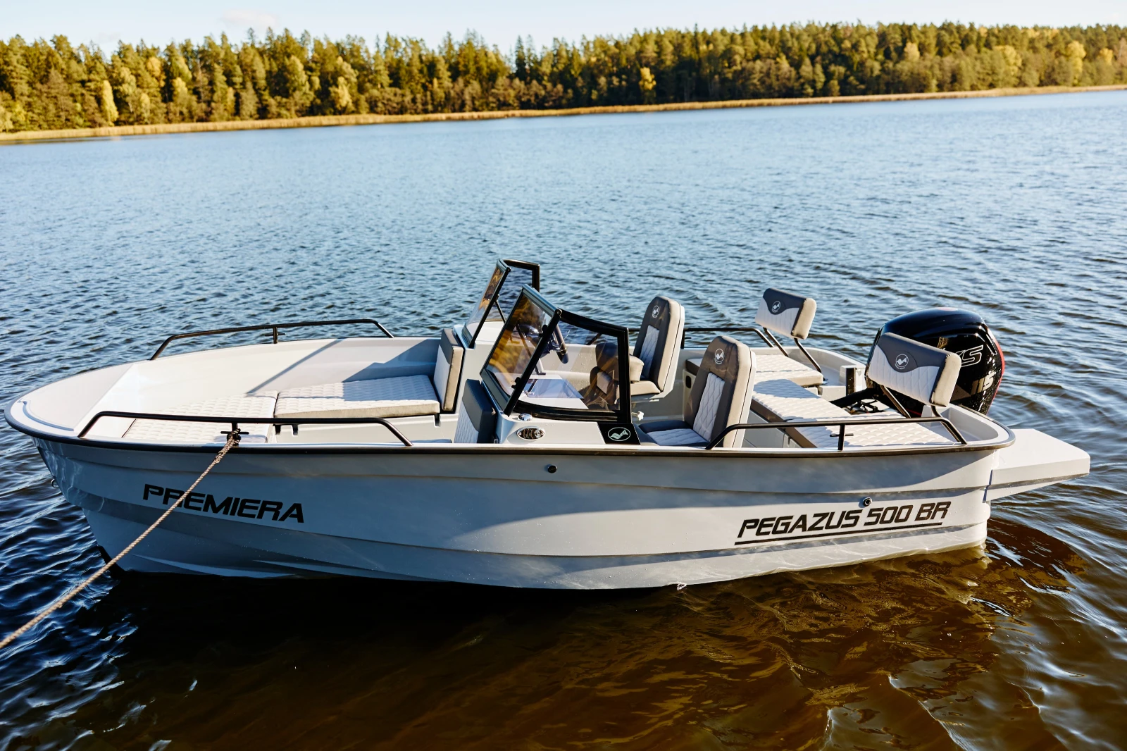 Лодка Собствено производство PEGAZUS 500 Bow Rider - изображение 3