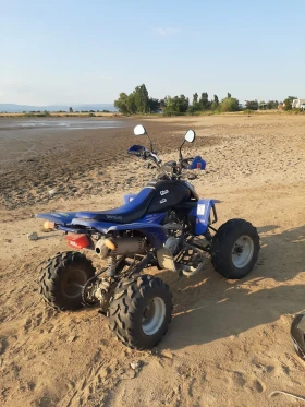 Shineray XY STXE 250 | Mobile.bg    2