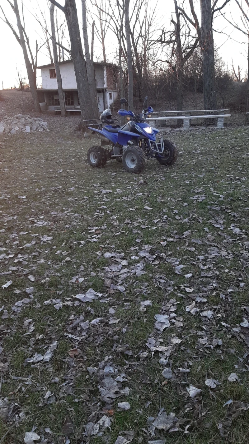 Shineray XY STXE 250, снимка 5 - Мотоциклети и мототехника - 52273730