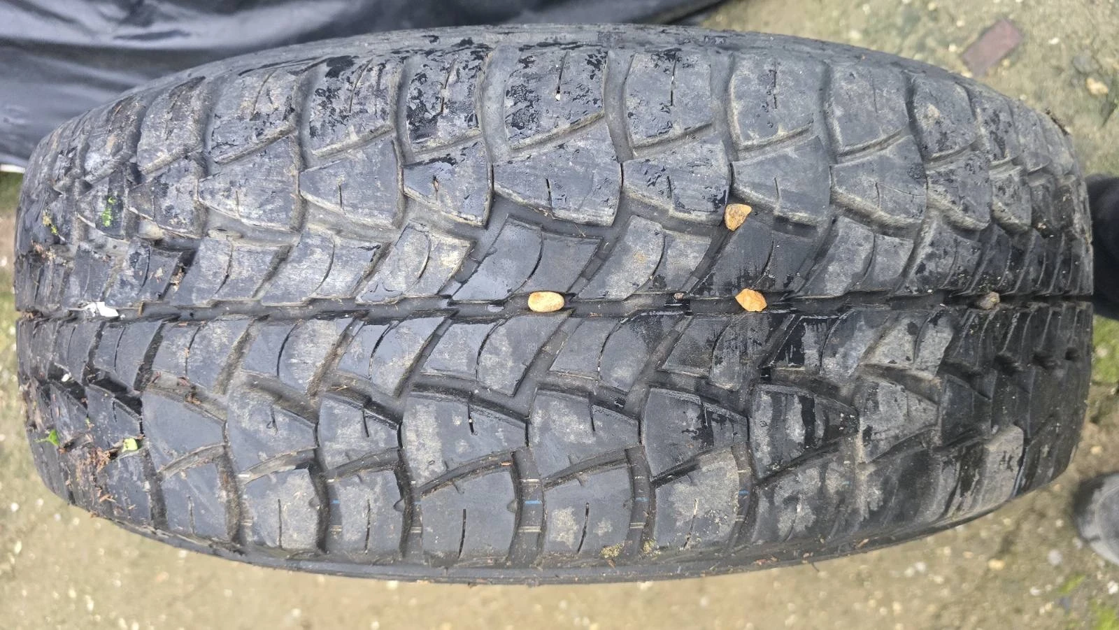 ���� � ������ 235/75R15 �� Nissan Terrano | Mobile.bg � ����������� 4