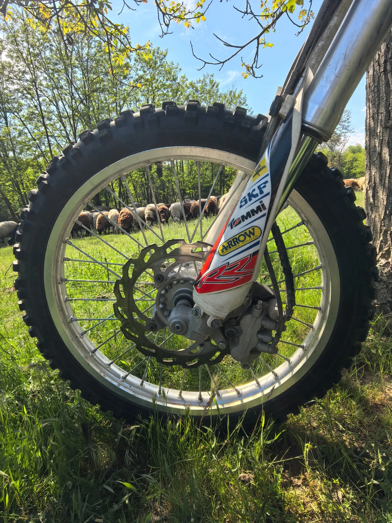 Beta Rr  Beta rr 125  2017      | Mobile.bg   12