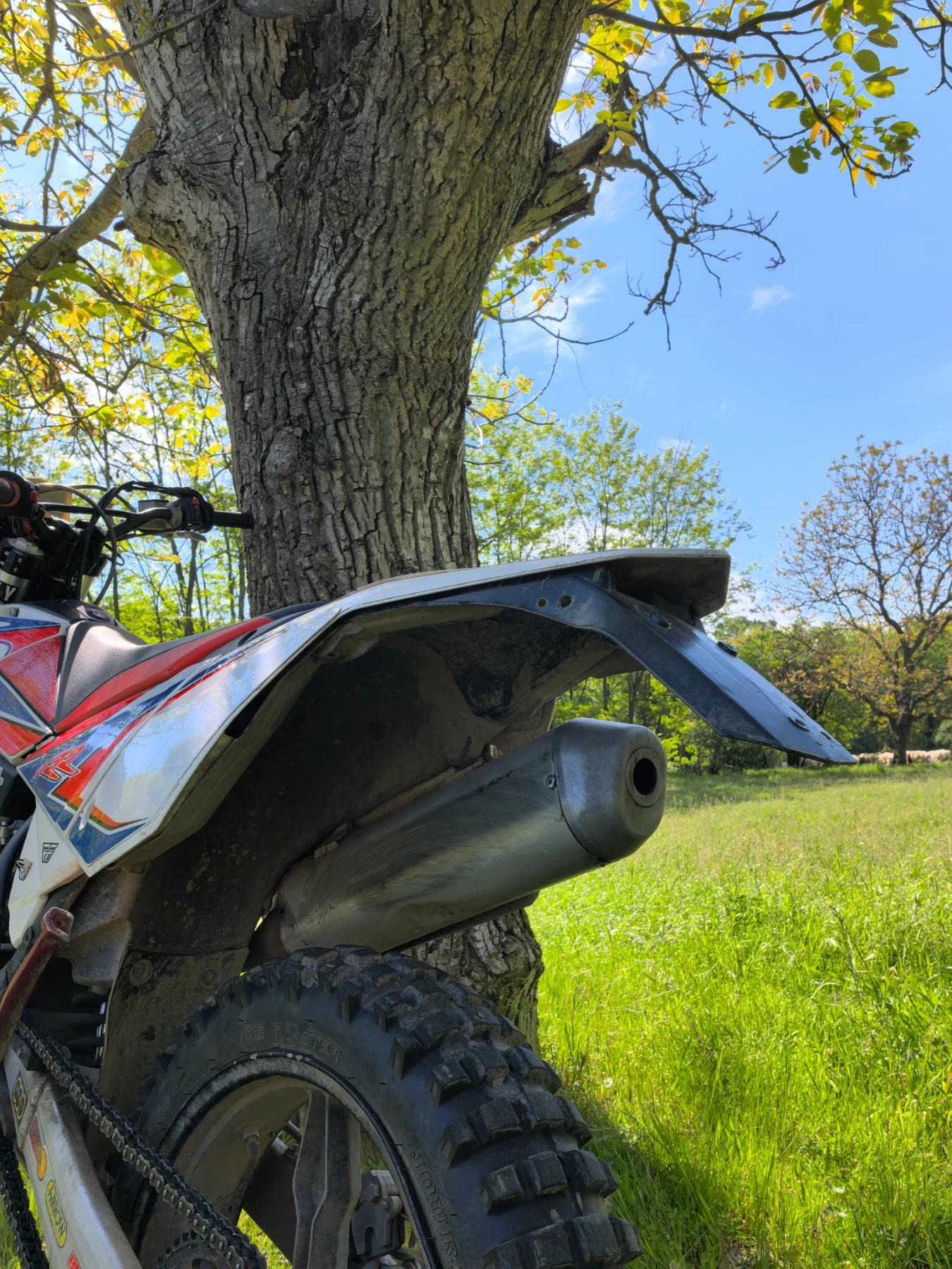 Beta Rr  Beta rr 125  2017      | Mobile.bg   9