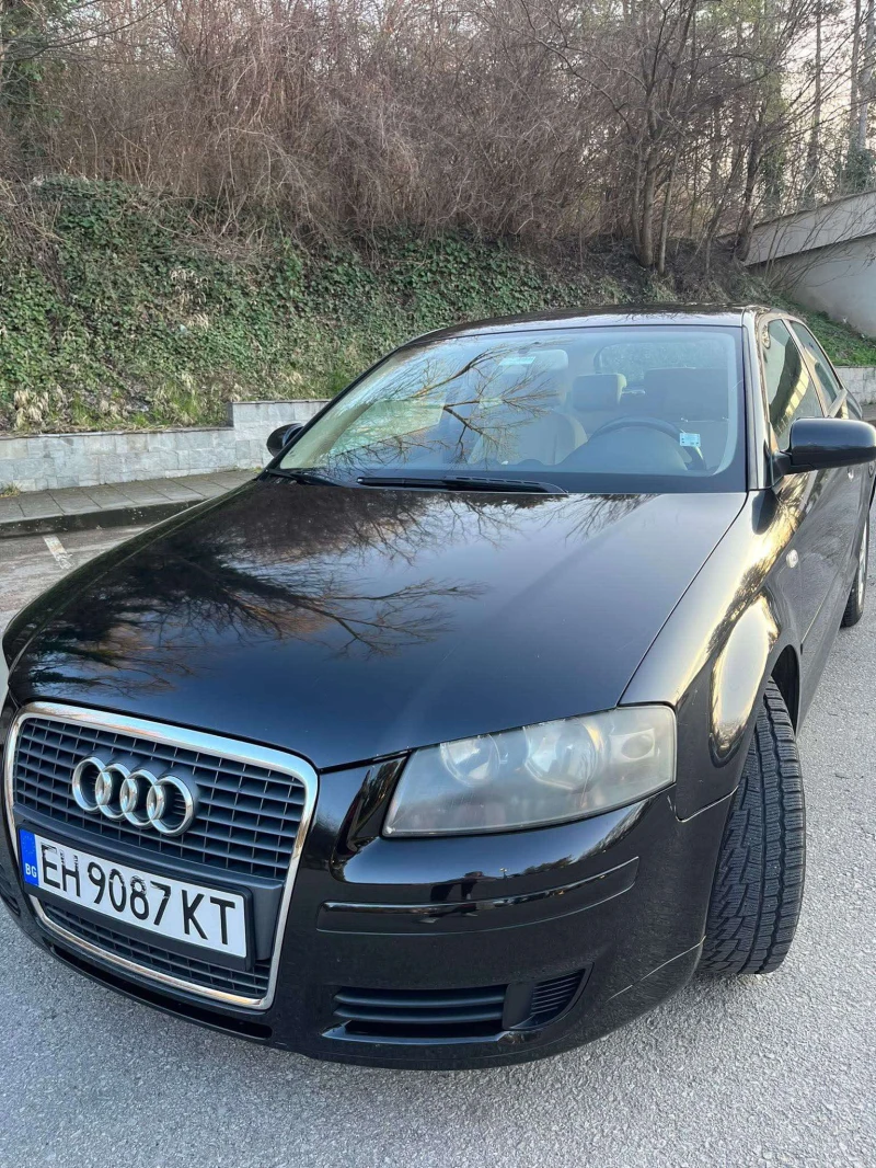 Audi A3 1.9 TDI, снимка 2 - Автомобили и джипове - 48825329