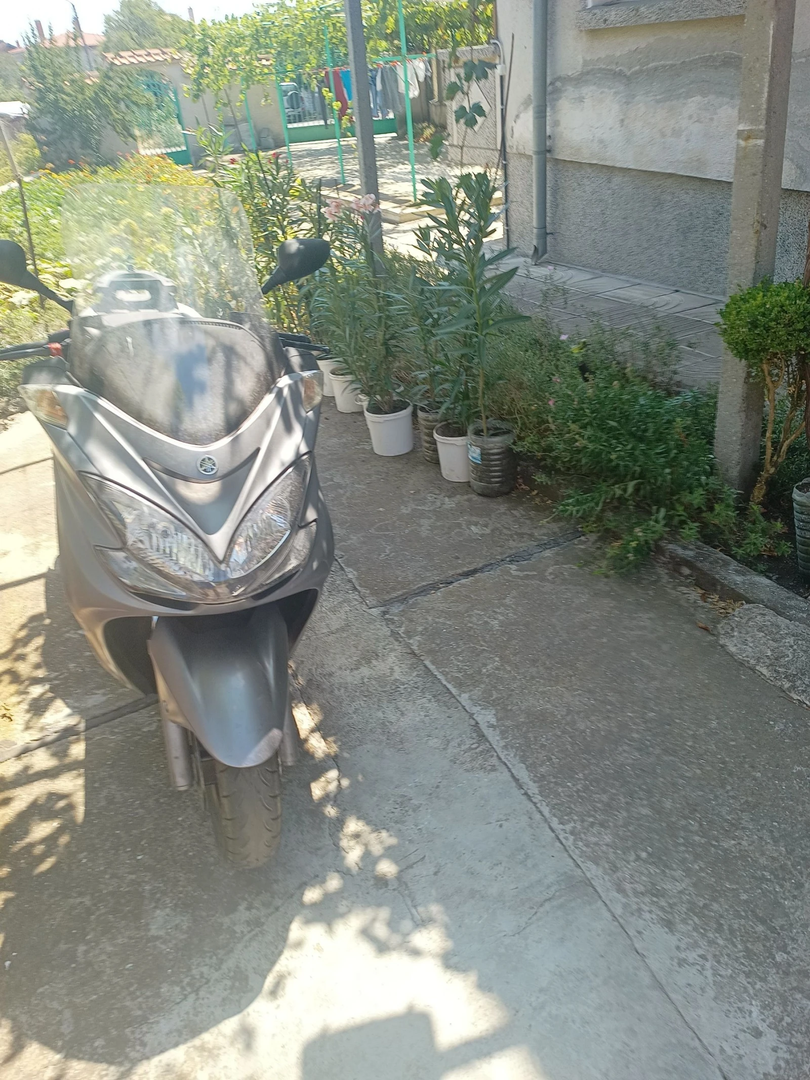 Yamaha Majesty | Mobile.bg   1