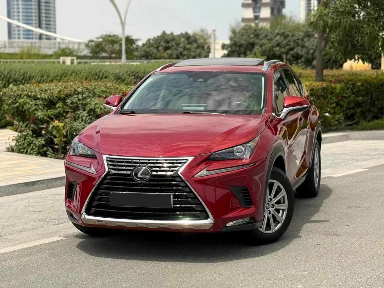 Lexus NX 300