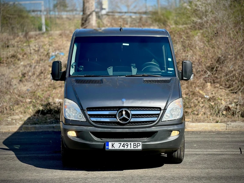 Mercedes-Benz Sprinter 319, снимка 3 - Бусове и автобуси - 52409286