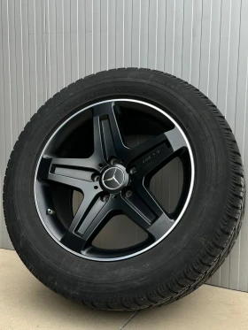        275/55R19  Mercedes-Benz G 350