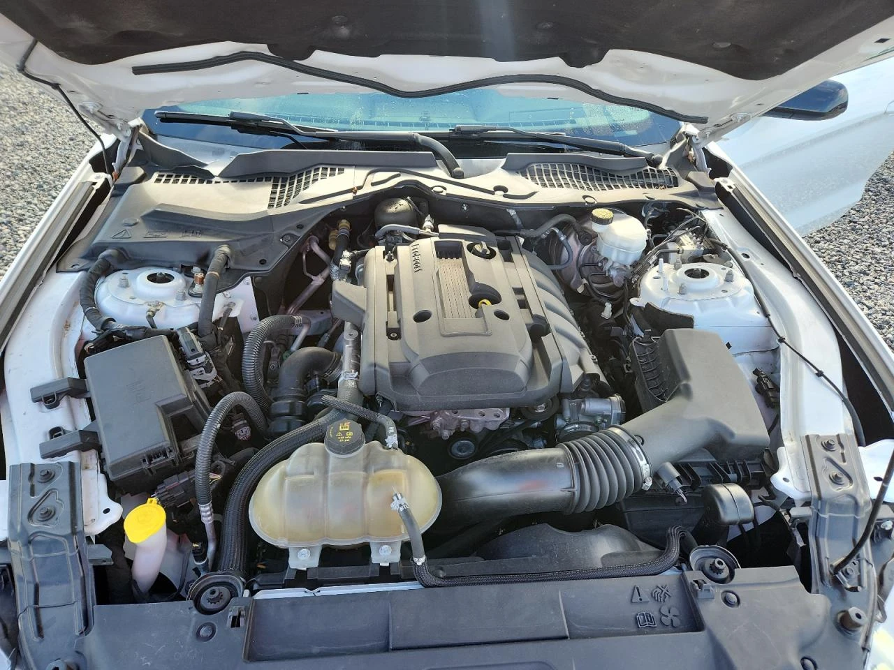 Ford Mustang 2.3* РЕАЛНИ КМ* , снимка 11 - Автомобили и джипове - 54647065