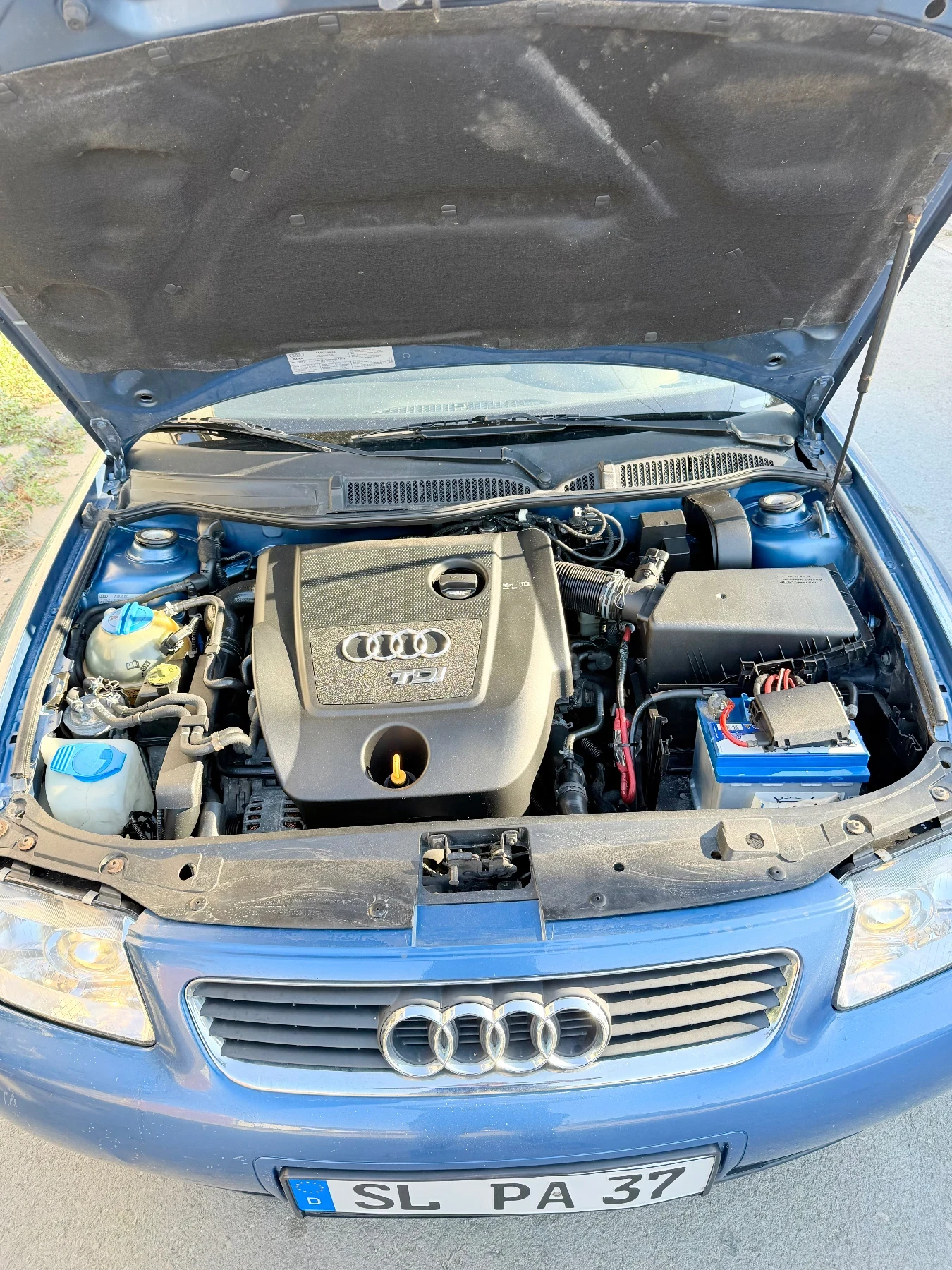 Audi A3 1.9 TDi 101ps, снимка 6 - Автомобили и джипове - 55936018
