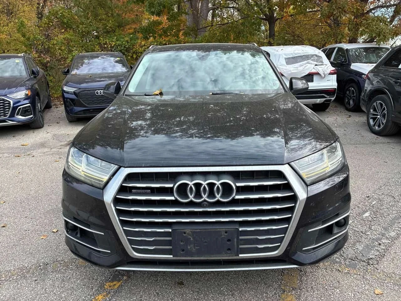Audi Q7, снимка 6 - Автомобили и джипове - 56716848