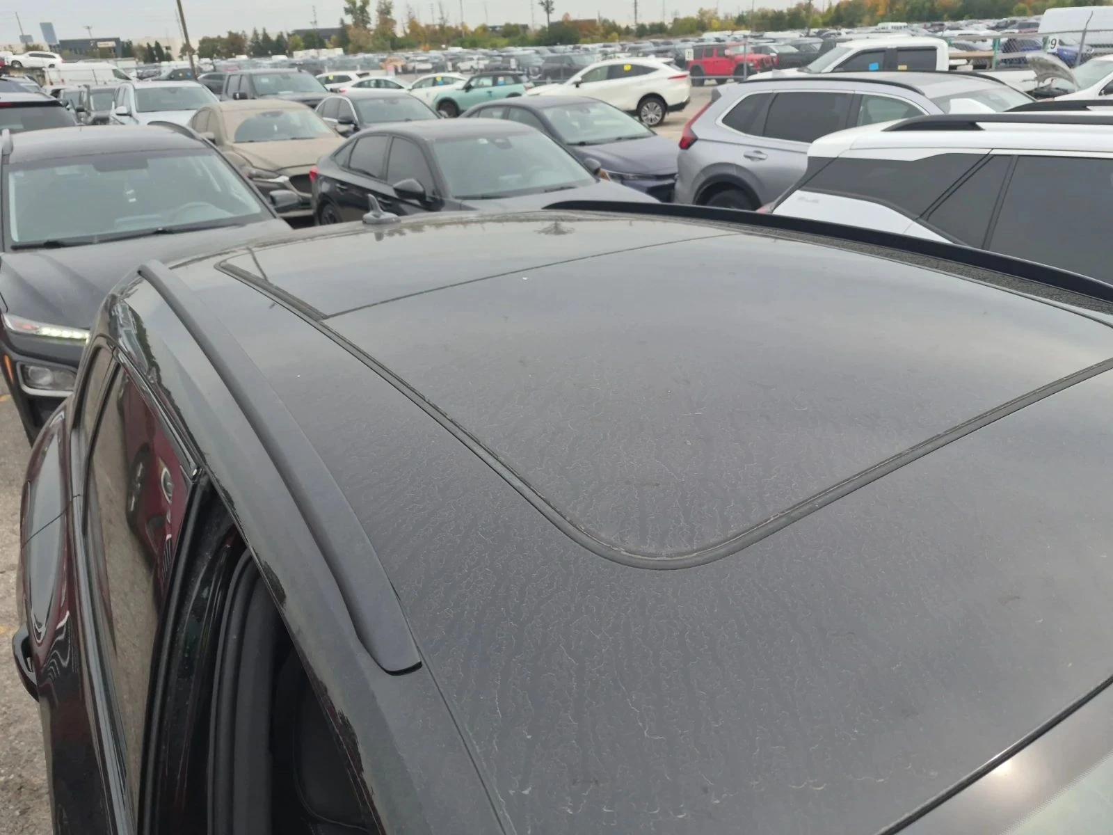 Audi Q5, снимка 6 - Автомобили и джипове - 56729091