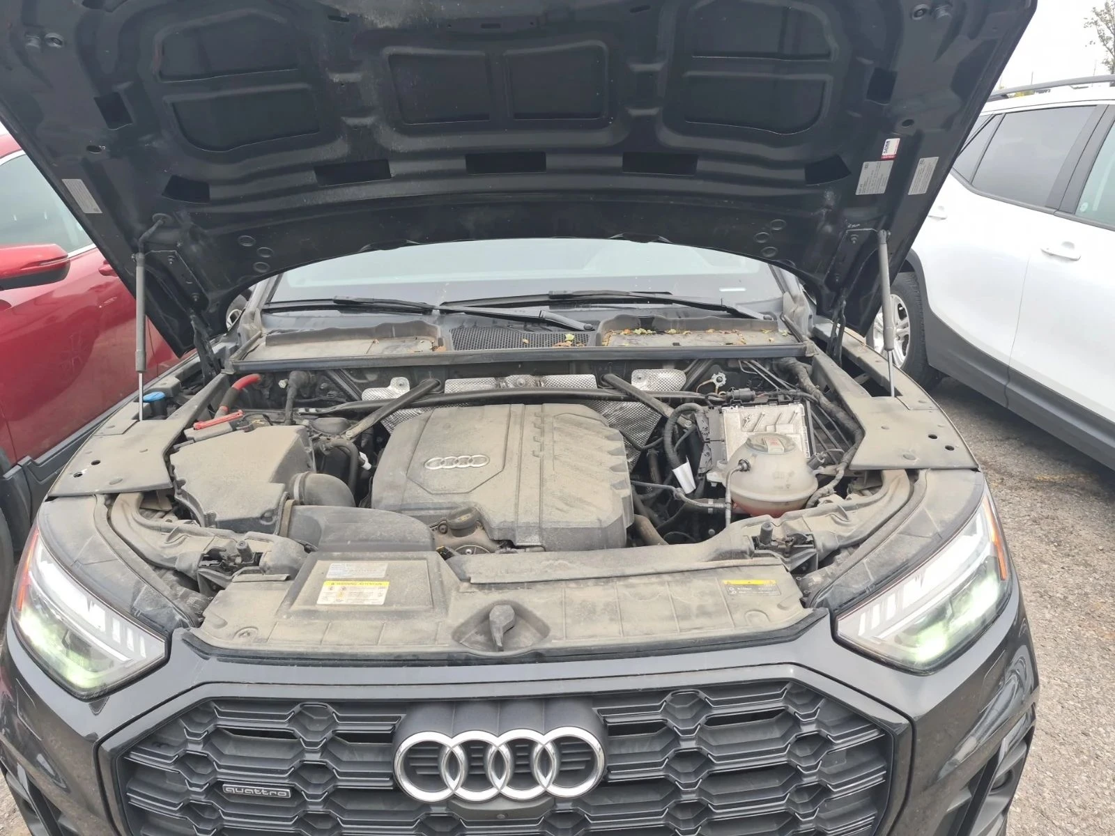 Audi Q5, снимка 16 - Автомобили и джипове - 56729091