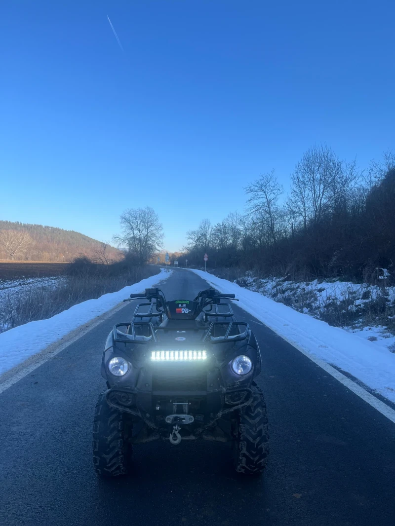 Kawasaki Brute Force