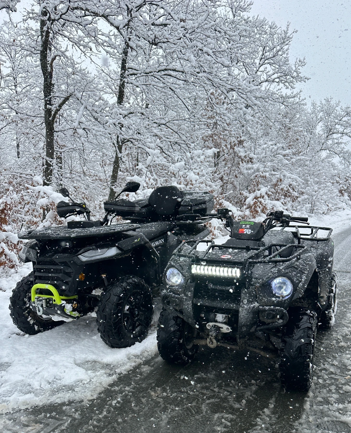 Kawasaki Brute Force  - изображение 3