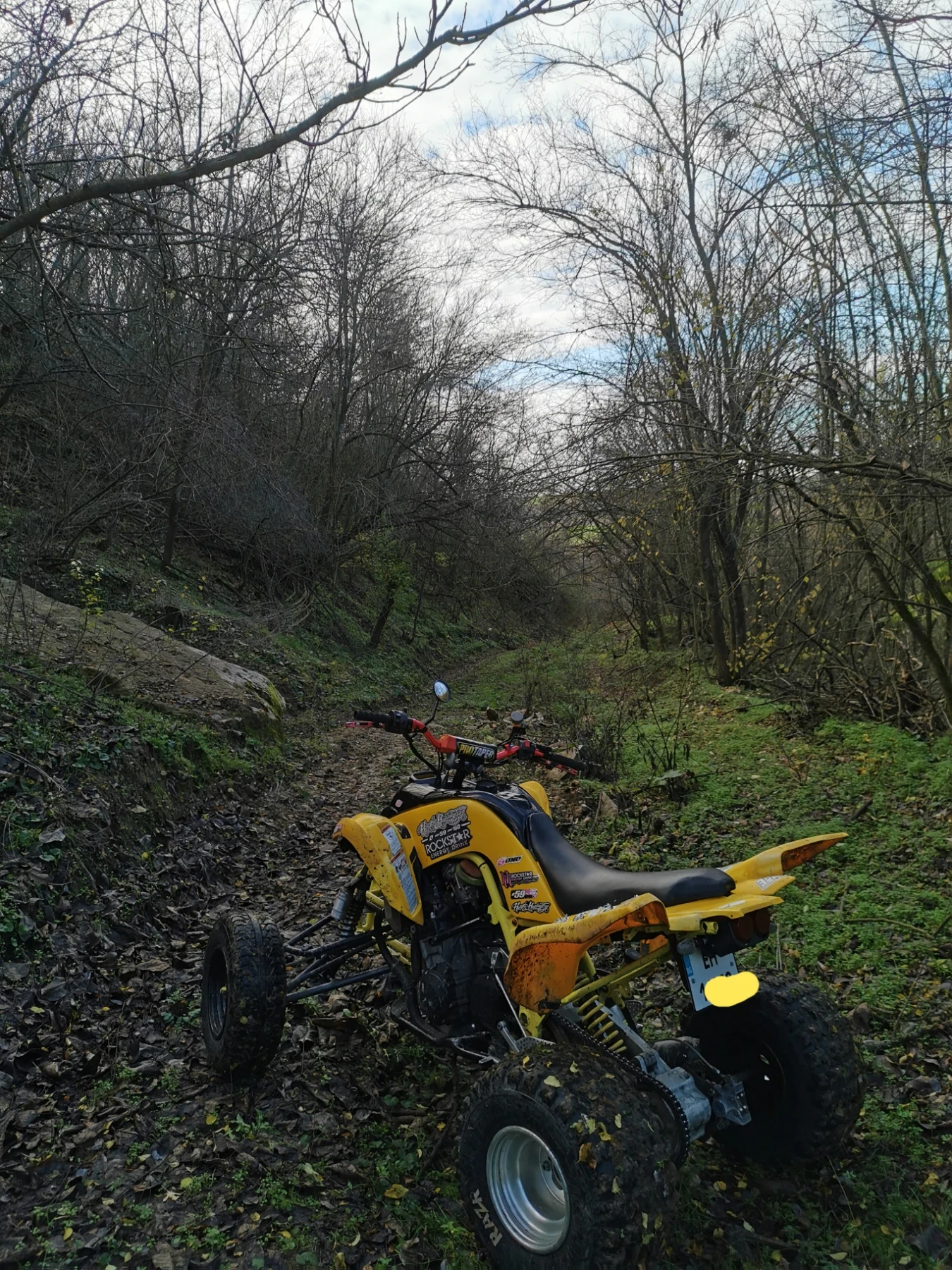 Yamaha Raptor  R1 1000cc | Mobile.bg � ����������� 2