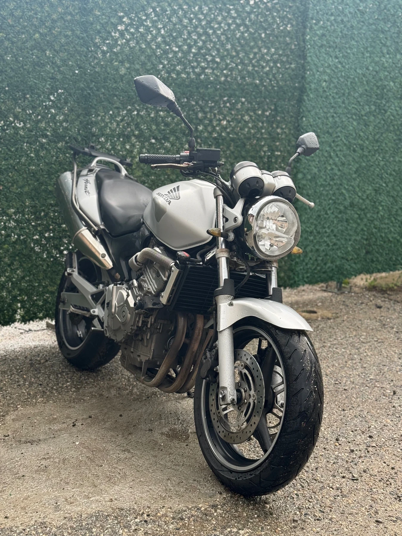 Honda Hornet 600 - изображение 4