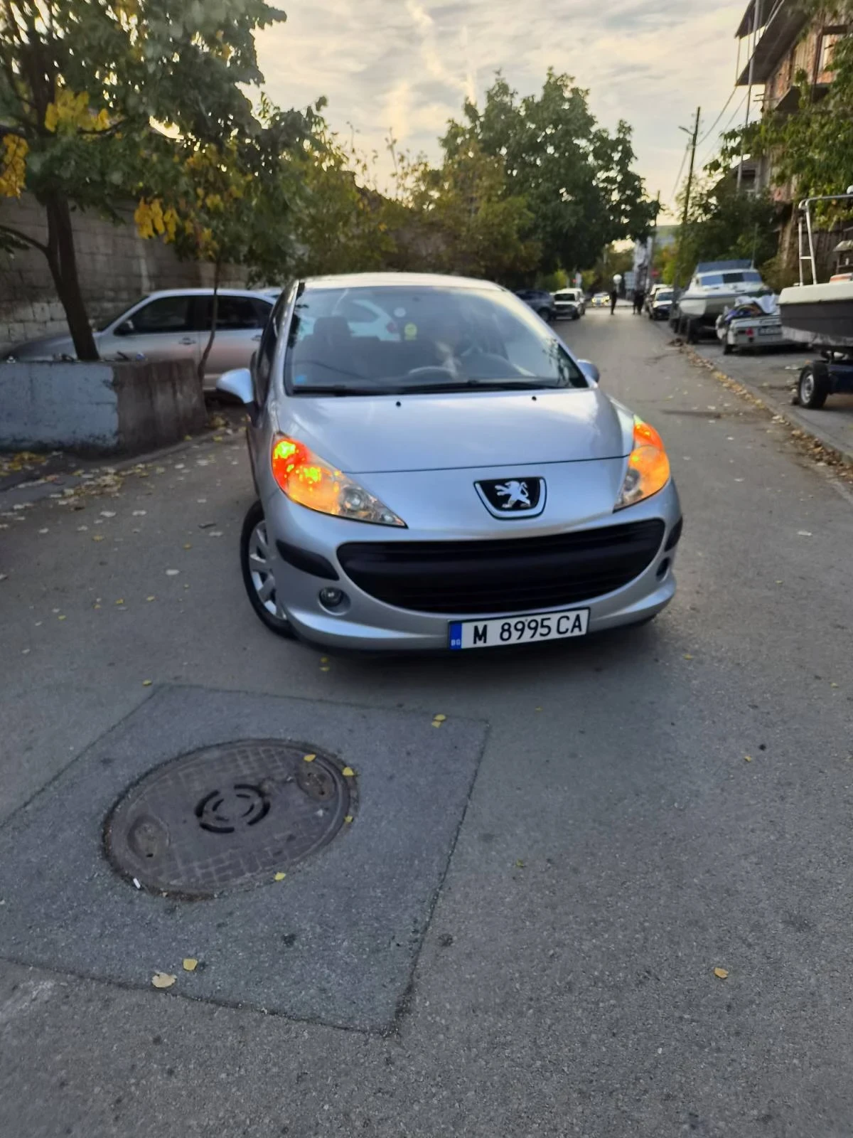 Peugeot 207