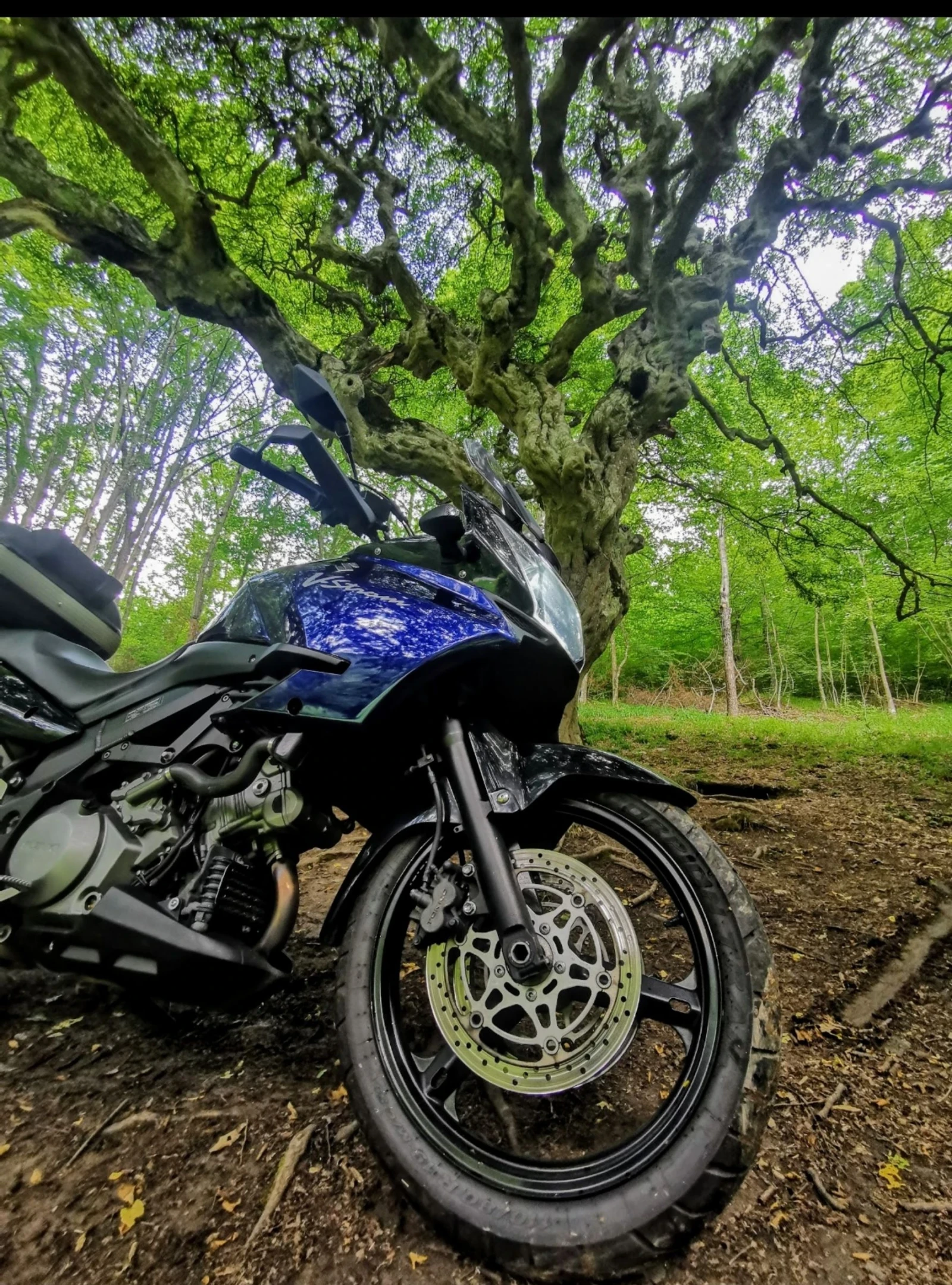 Suzuki V-strom  - изображение 2